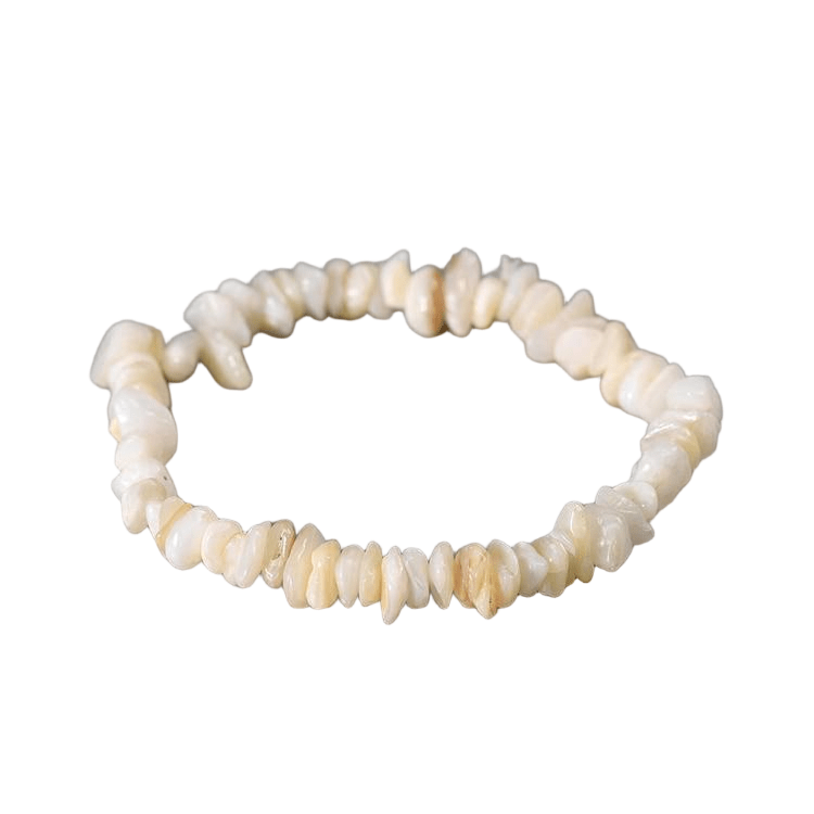 Custom Shell Chip Bracelet 7-8mm | Natural Shell Irregular Chip Stretch Bracelet | Lithicgems - Lithicgems