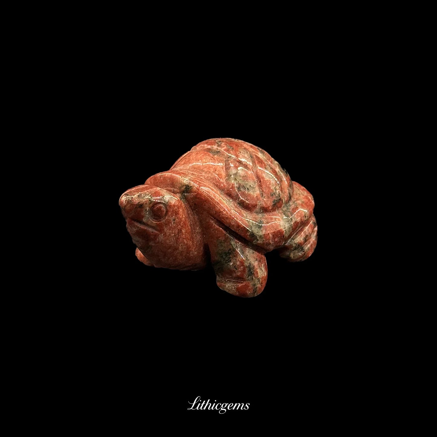 Red natural gemstone turtle carving on black background, Lithicgems crystal boutique