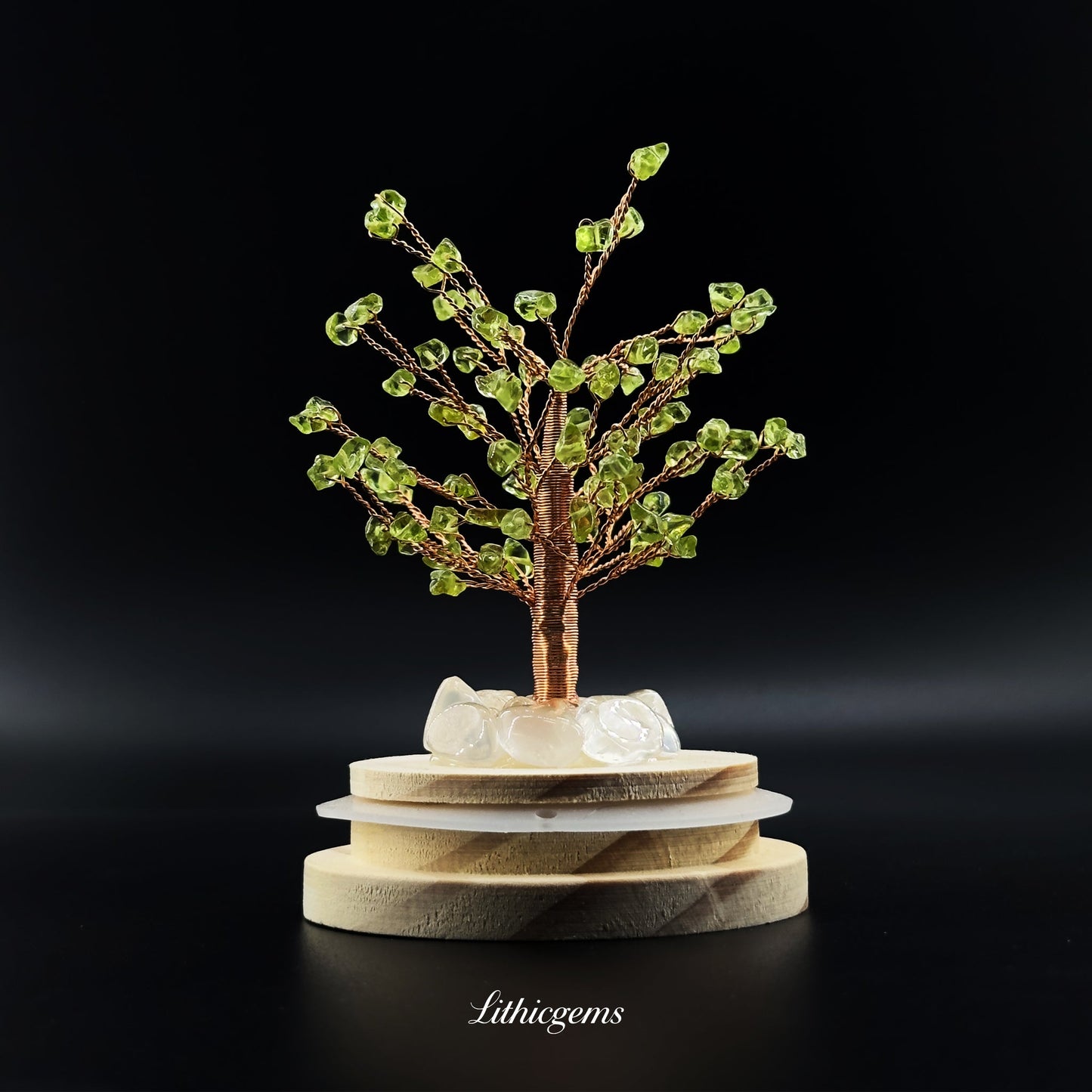 Wisdom Tree