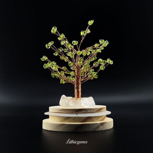 Wisdom Tree