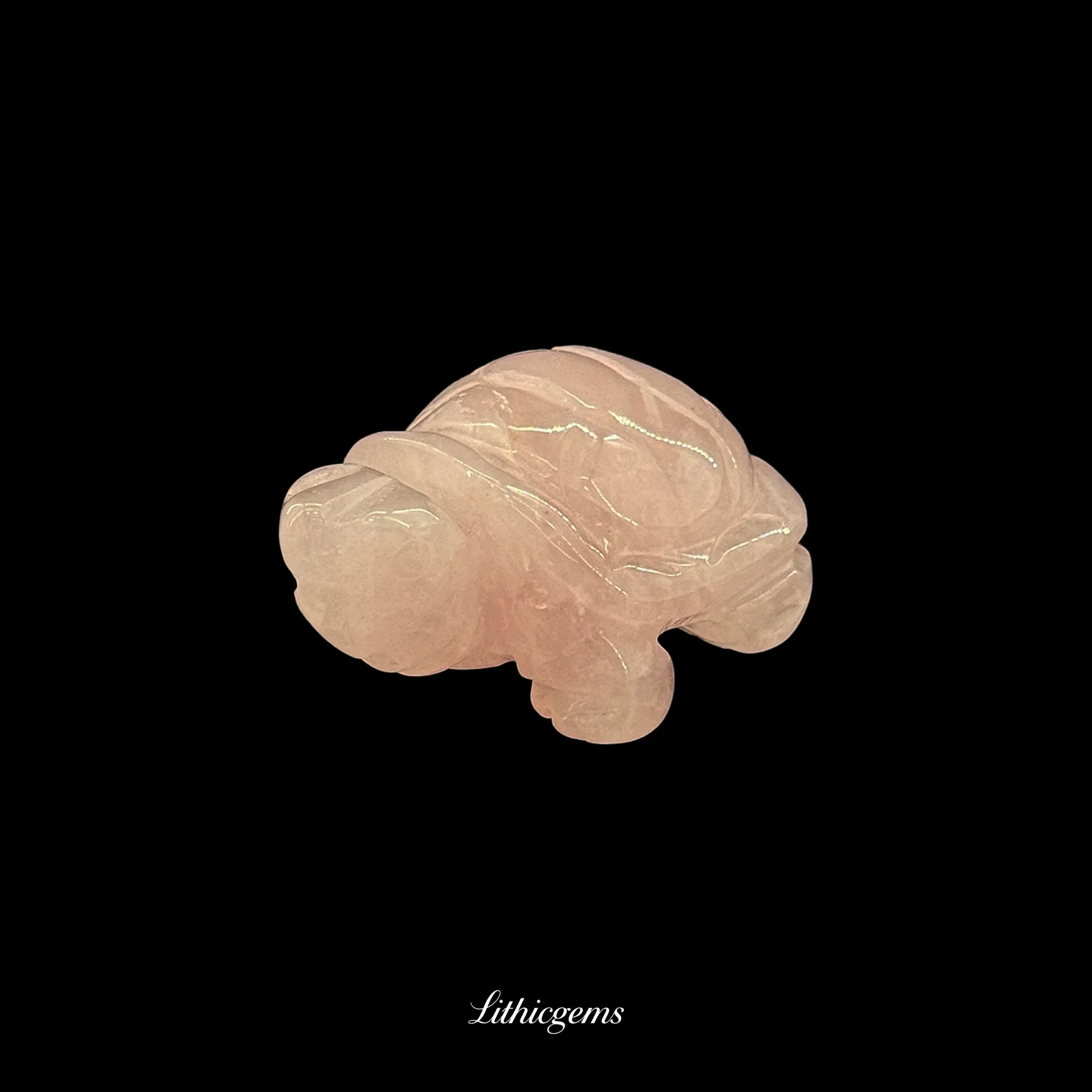 Carved rose quartz turtle gemstone figurine on black background, Lithicgems boutique