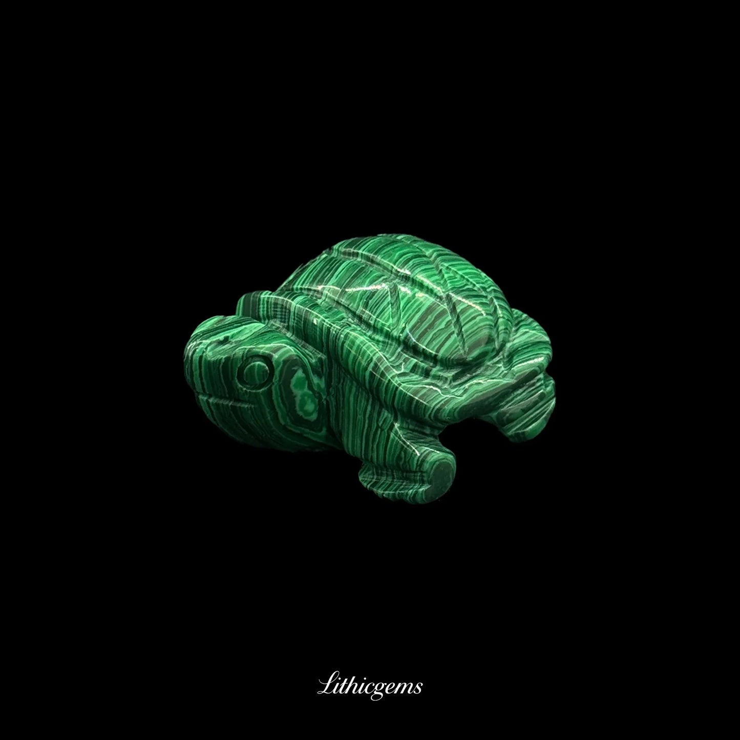 Malachite turtle crystal carving on black background at Lithicgems gemstone boutique
